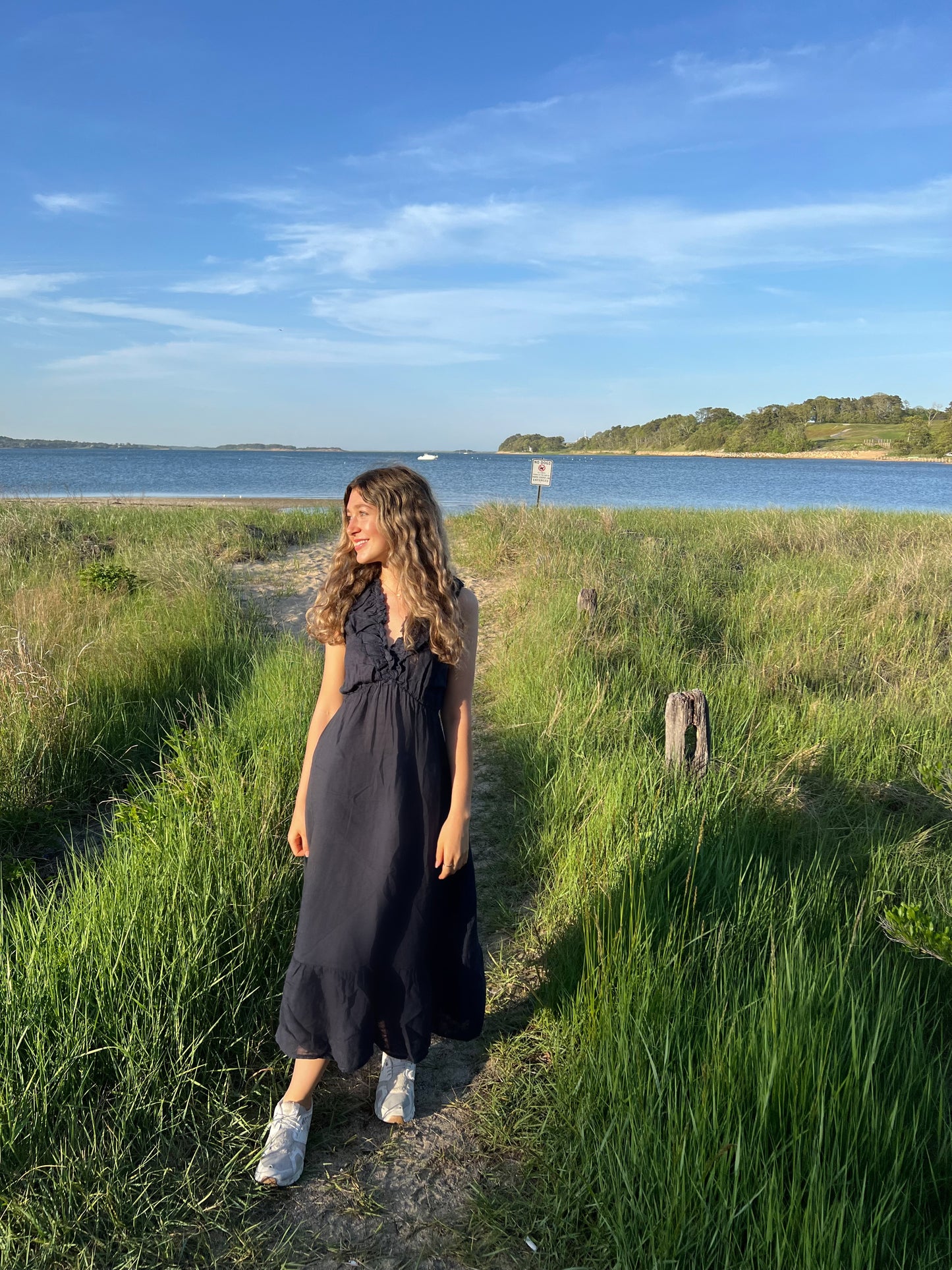 Navy Linen Dress of Dreams