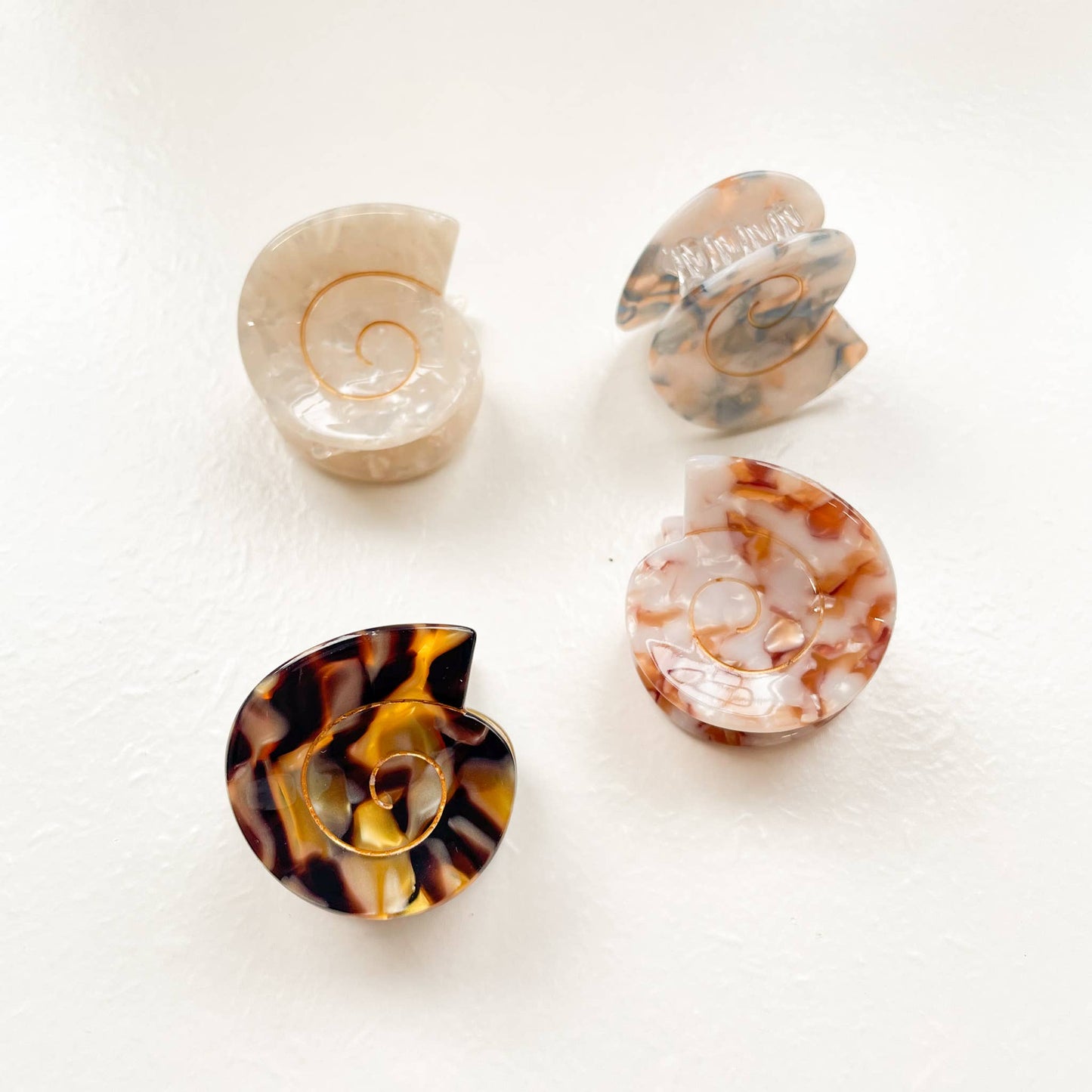 Cora Round Seashell Claw Clip - Small: Assorted